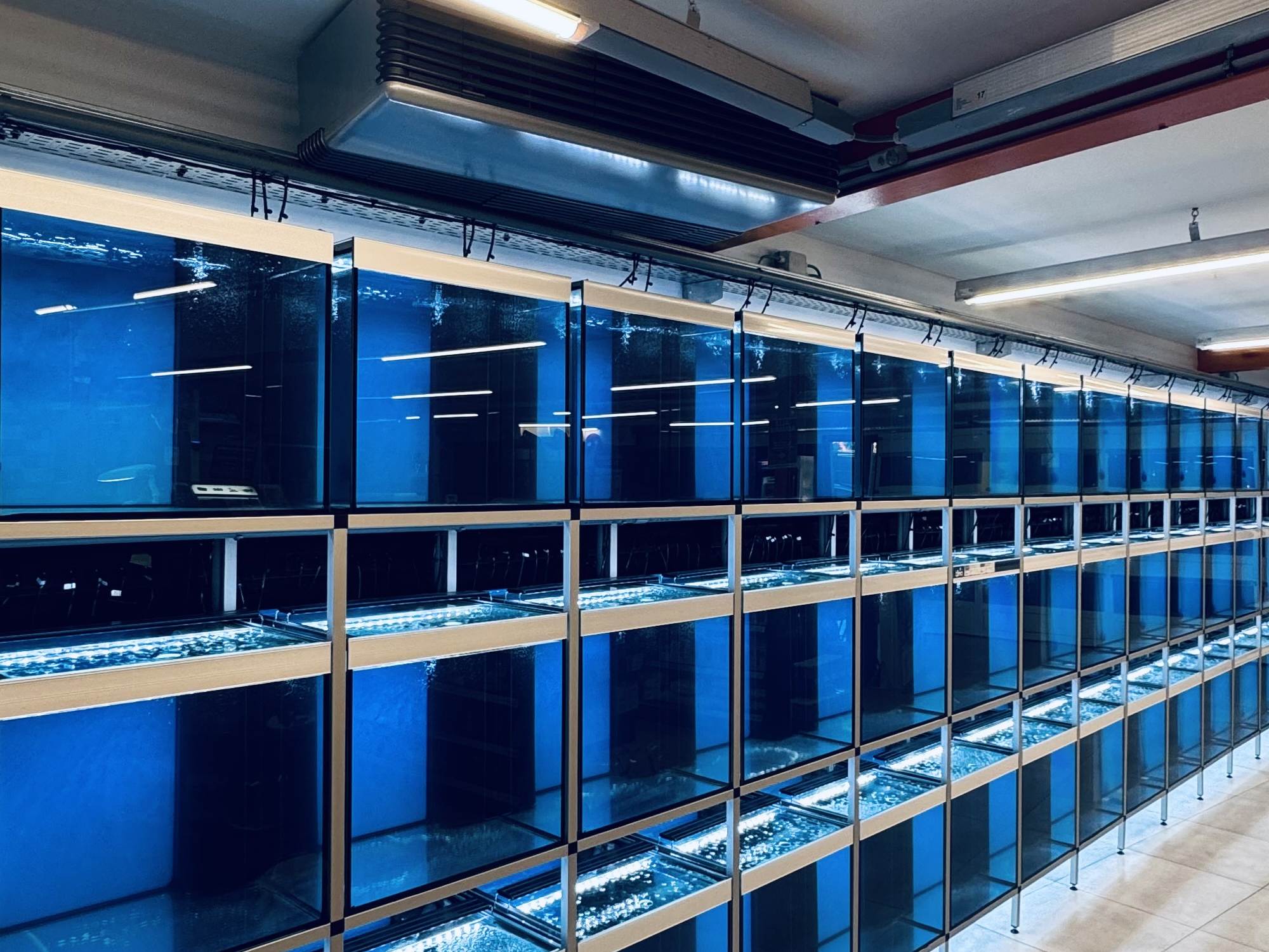 De aluminium aquariumstelling van LUX AQUA