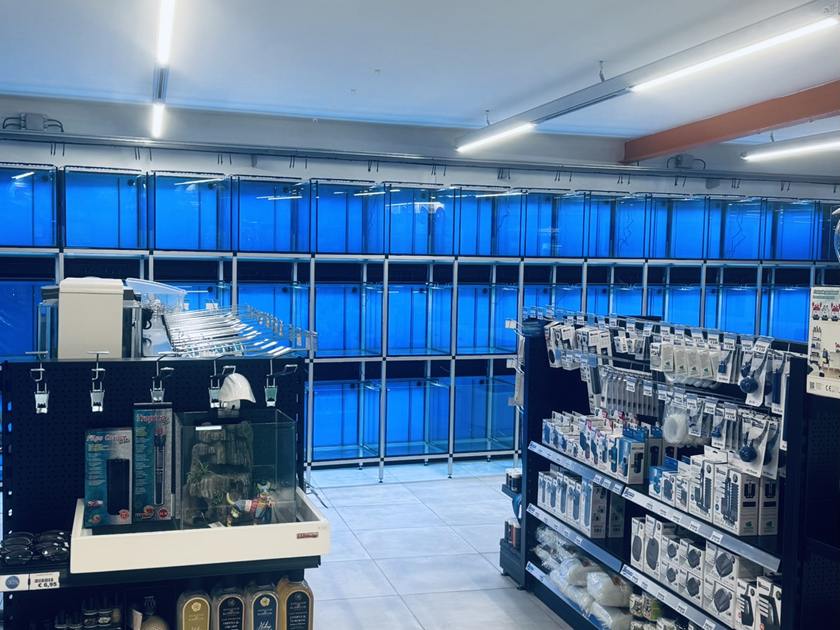 De aquariumstellingen van LUX AQUA toen de bakken nog leeg waren