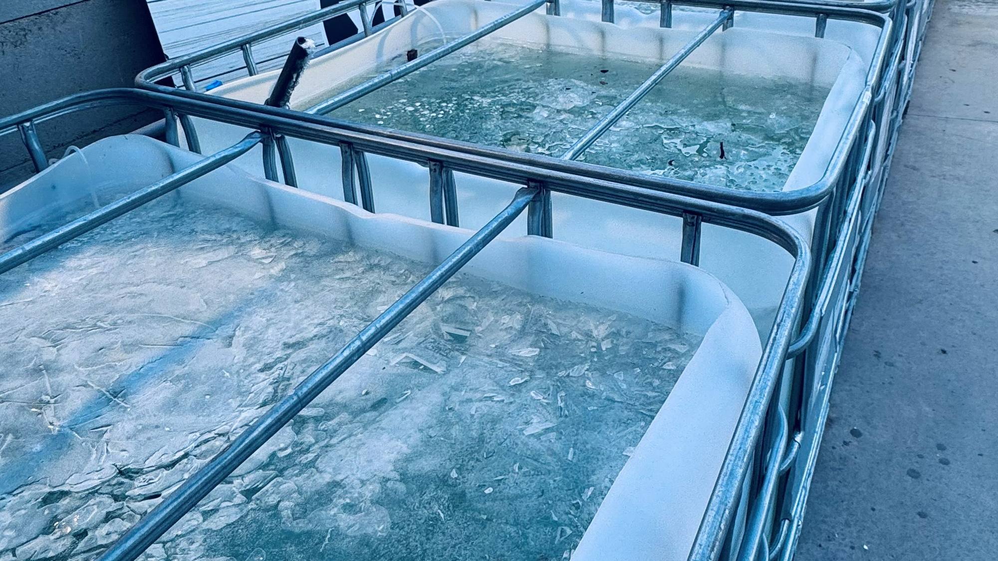 De vijverafdeling van LUX AQUA buiten, met de omgebouwde IBC-vaten op een centraal filtersysteem