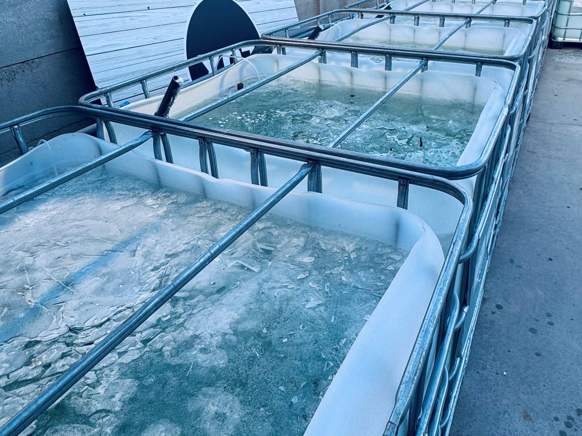 De vijverbakken van LUX AQUA buiten in Helchteren