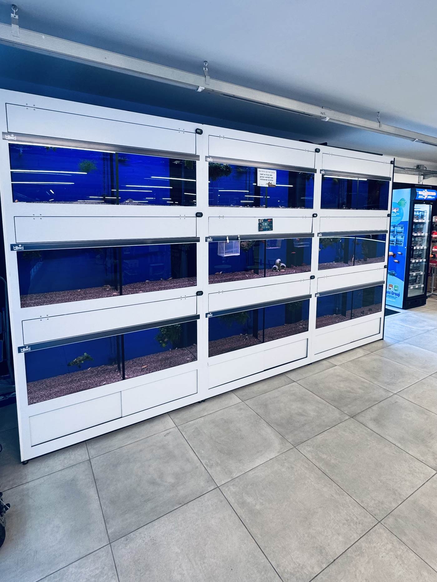 De stelling met de negen grote aquaria van LUX AQUA